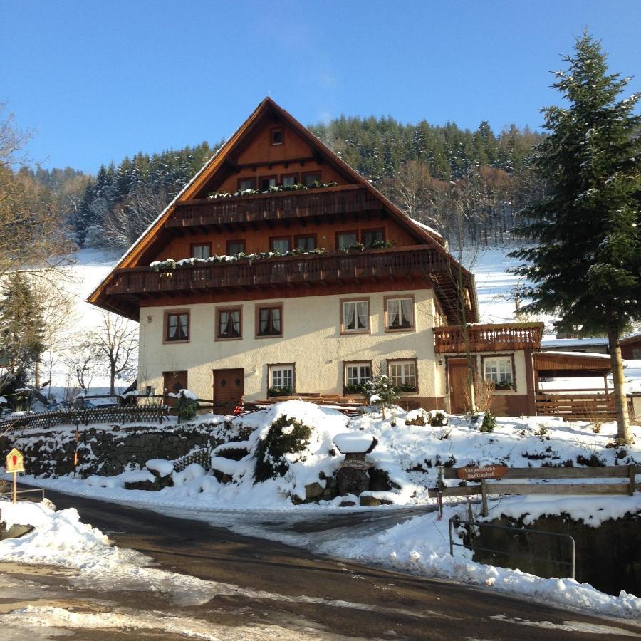 Appartamento Bartleshof Wolfach Esterno foto