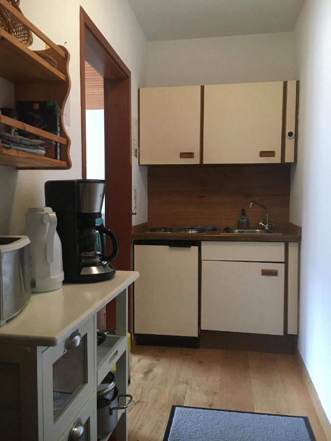 Appartamento Bartleshof Wolfach Esterno foto